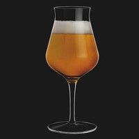 Набор бокалов для дегустации пива Luigi Bormioli Birrateque 420мл 2 шт. 11808/01