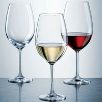 Комплект бокалов для белого вина Schott Zwiesel Mondial 250 мл 6 шт