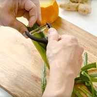 Нож для чистки овощей с подвижным лезвием Fiskars Form (Y форма) 1016122