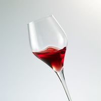 Фото Комплект бокалов для красного вина Schott Zwiesel Finesse 630 мл 6 шт