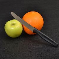 Фото Комплект кухонных ножей Victorinox 5.0833 5 шт + 1 шт в подарок