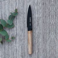 Набор ножей c деревянной ручкой BergHOFF RON
