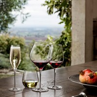Фото Набор бокалов для белого вина Luigi Bormioli Vinea 6 шт х 350 мл 11832/01